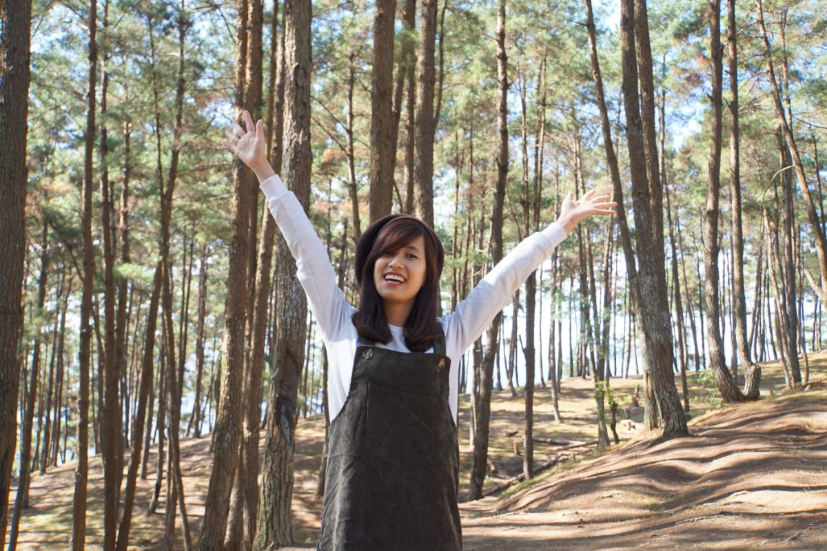 Tourist hiking along a misty trail in Yen Minh Pine Forest surrounded by tall trees